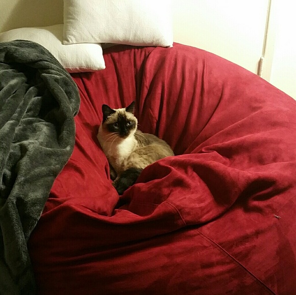 Meet your Posher, Katie beth - Picture 5 of 5