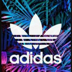 Meet your Posher, Luis