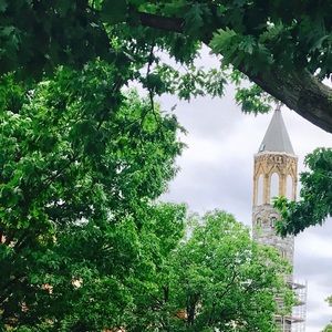 Meet your Posher, Lance