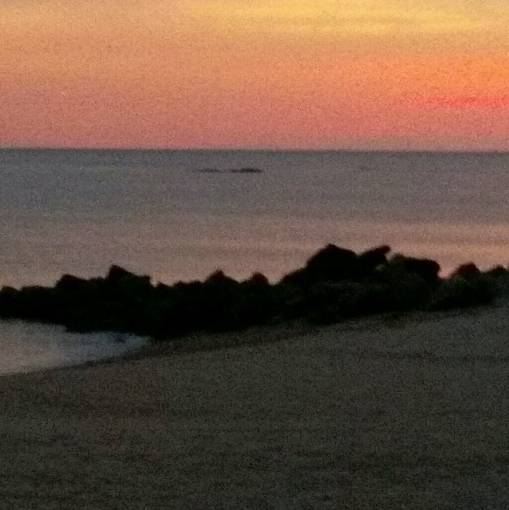 Meet your Posher, Dorine