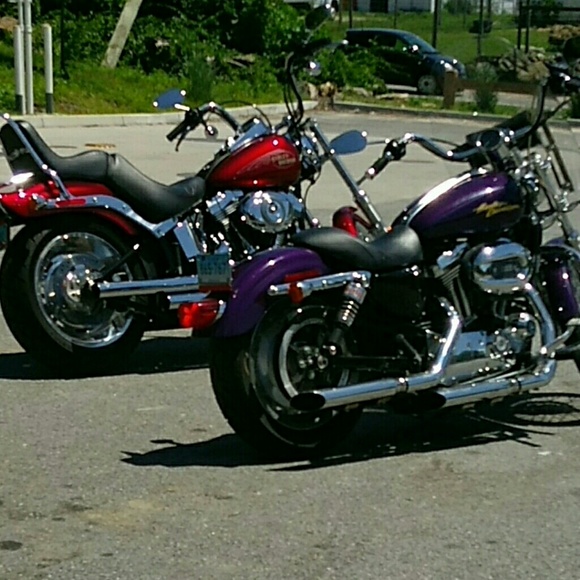 Meet your Posher, Dorine - Picture 3 of 4