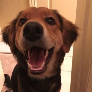 Meet your Posher, Andrew