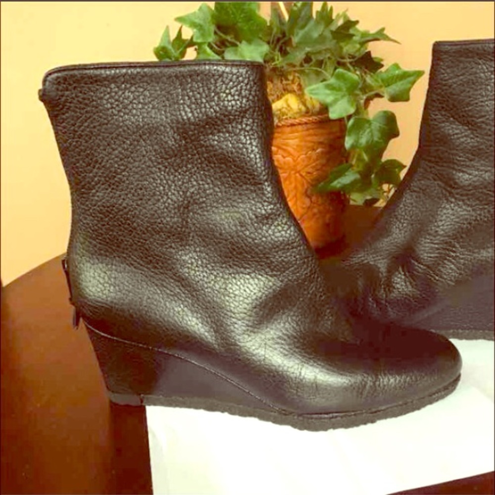 ISO Stuart Weitzman wedge ankle boot
