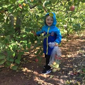 Meet your Posher, Mark