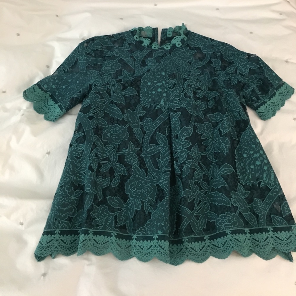 Green lace Anthropologie top