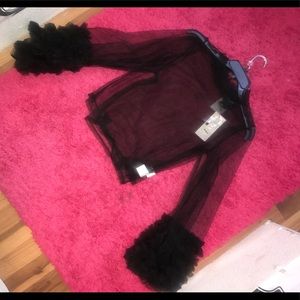 Sheer Mesh ruffle Top