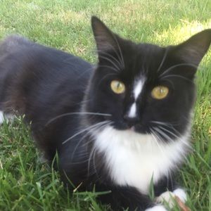 Meet your Posher, Natalie