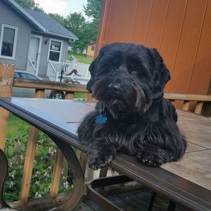 Meet your Posher, Inga