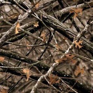 Meet your Posher, Lance