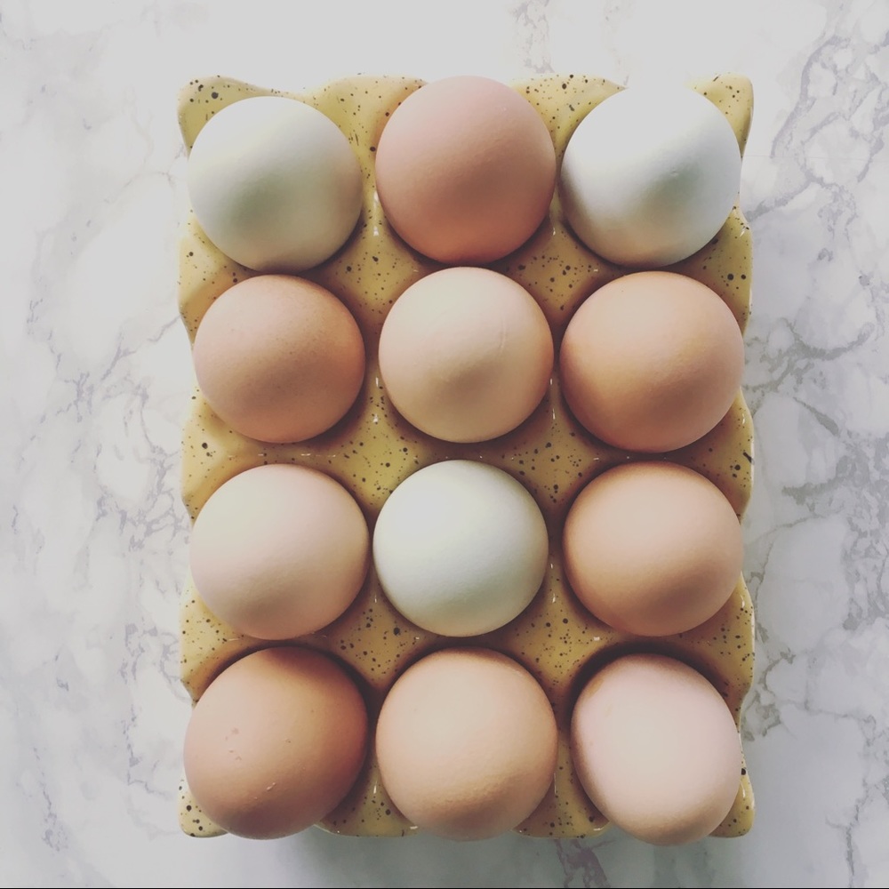 Meet your Posher, Jen