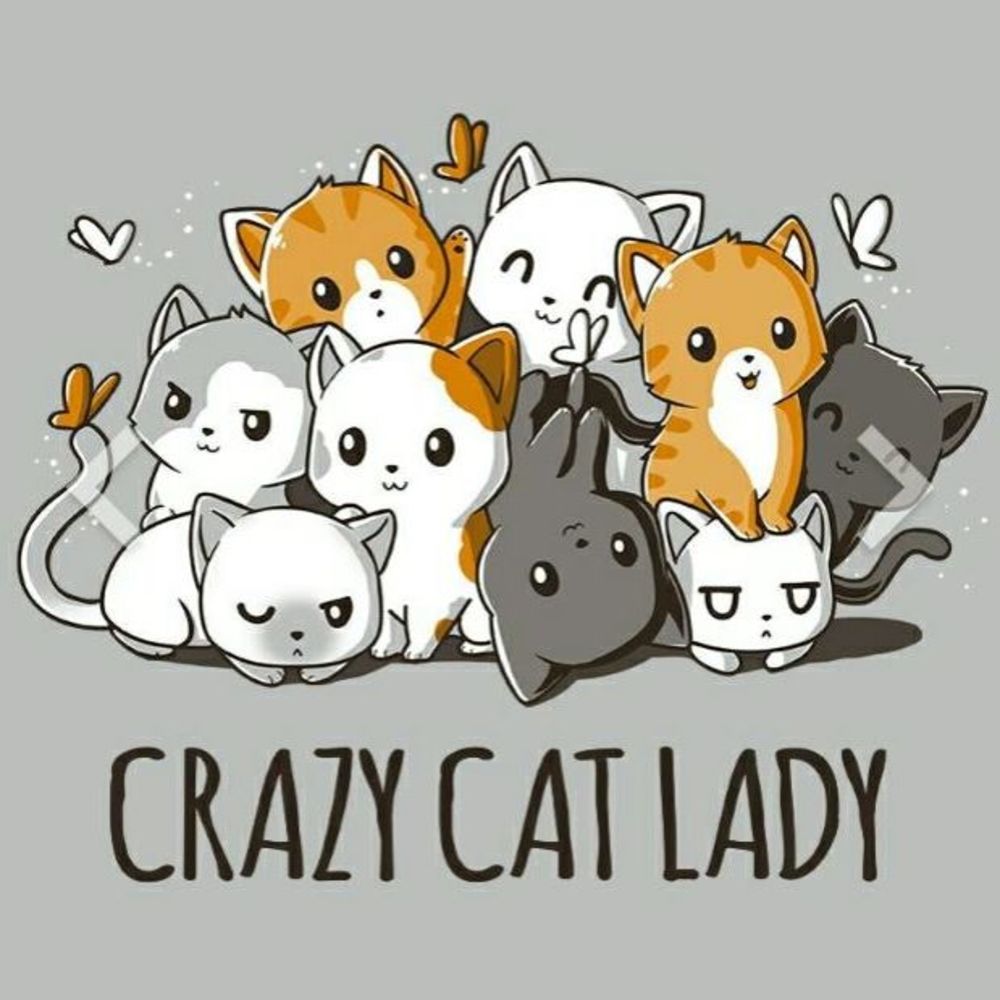 Meet your Posher, Denisse