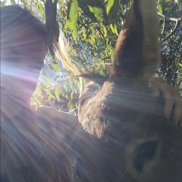 Meet your Posher, Elizabeth - Picture 1 of 1