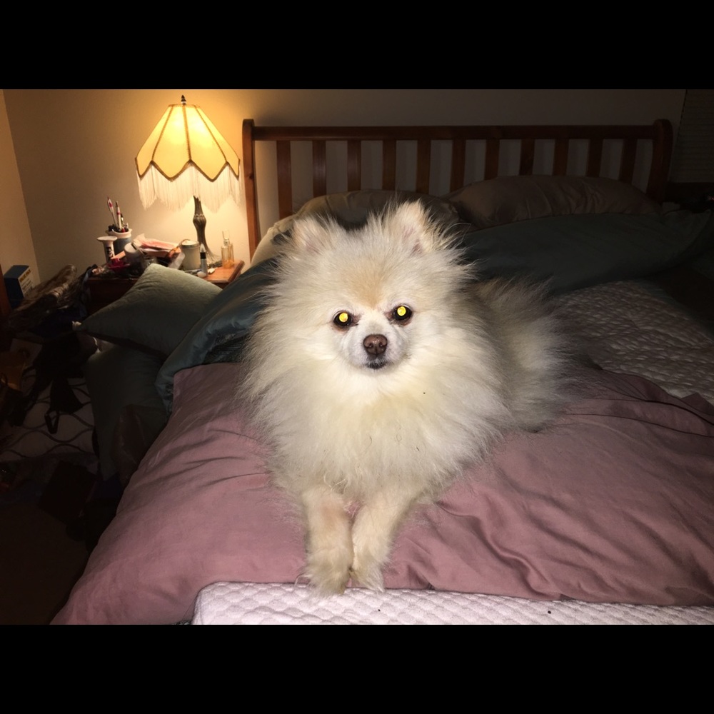 Meet your Posher, Terre