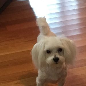 Meet your Posher, Nancy