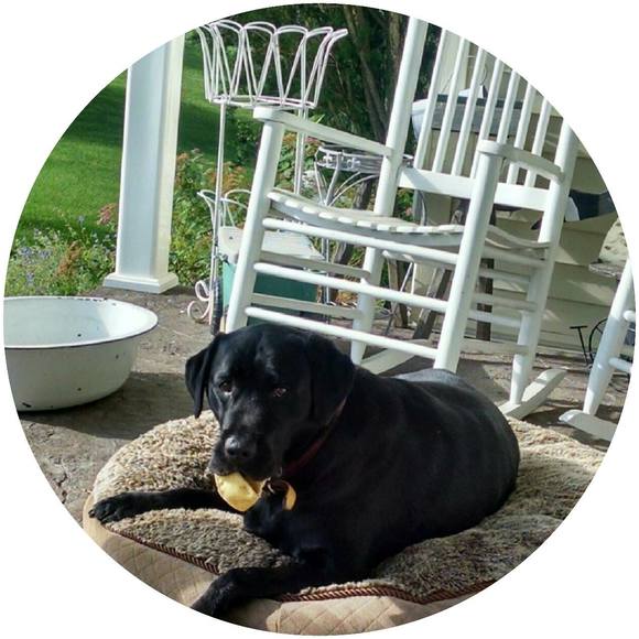 Meet your Posher, Robyn - Picture 1 of 1