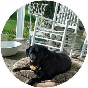 Meet your Posher, Robyn