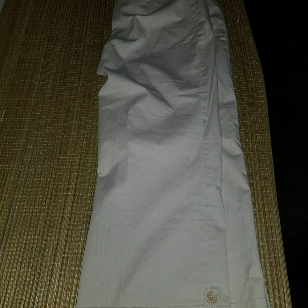 Ann Taylor Capri Pants - image 2