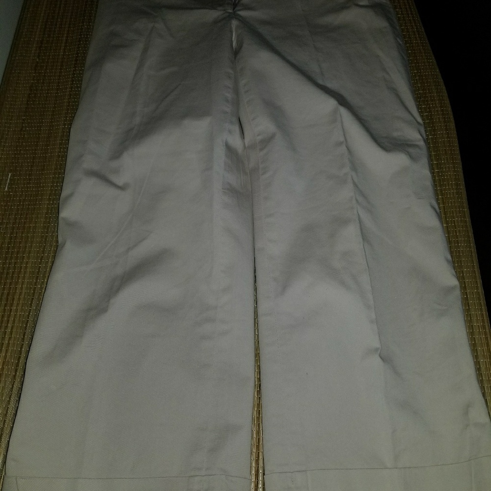 Ann Taylor Capri Pants - image 1