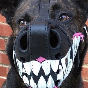 Meet your Posher, Phil