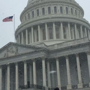 Meet your Posher, Tanner