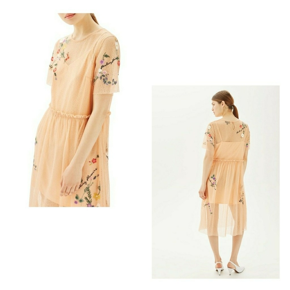 TOPSHOP Embroidered Mesh Midi Dress - Picture 2 of 2