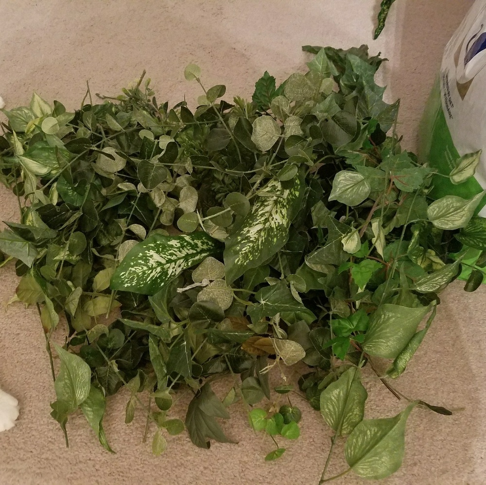 Large bundle of greenery stems/vines
