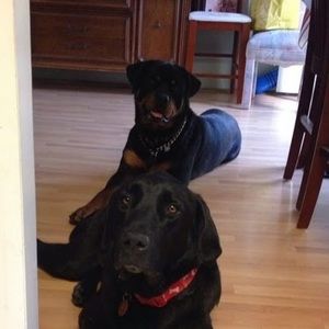 Meet your Posher, Mirna