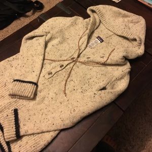 Patagonia hooded sweater