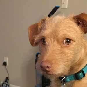 Meet your Posher, Marisa