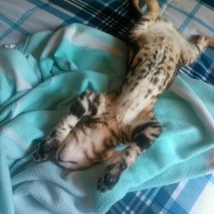 Meet your Posher, Janeth