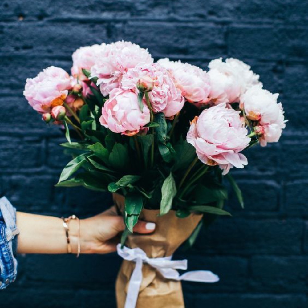 Meet your Posher, Ali