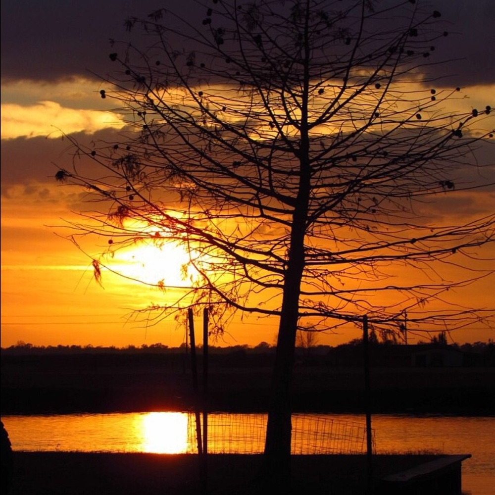 Meet your Posher, Savannah