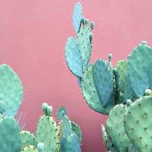 Meet your Posher, Jillian