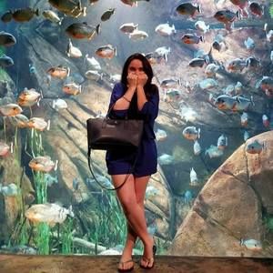 Meet your Posher, Joyce