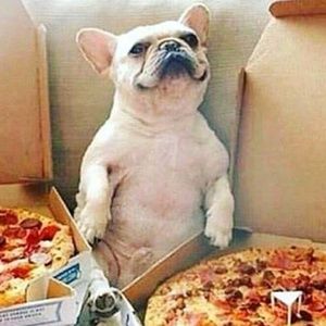 Meet your Posher, Jake