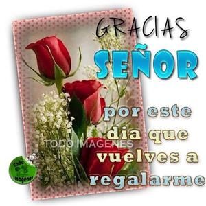 Meet your Posher, Juanita