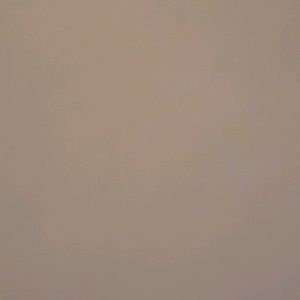 Meet your Posher, Katrina