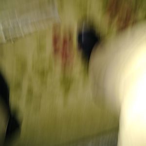 Meet your Posher, Cruz