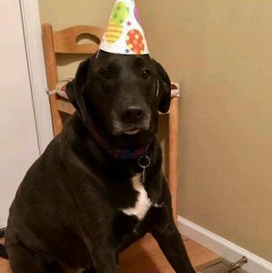 Meet your Posher, Linda