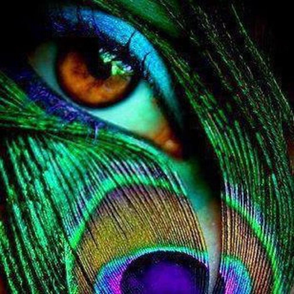 Meet your Posher, Tom