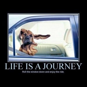 Meet your Posher, Malika