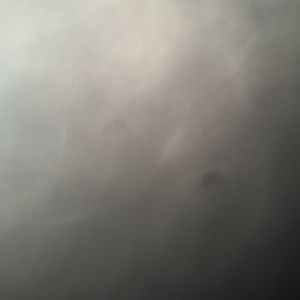 Meet your Posher, Britney