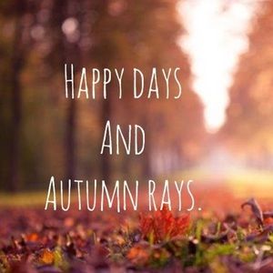 Meet your Posher, Mandi