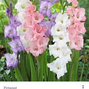 Meet your Posher, Mitzi