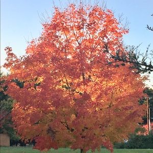 Meet your Posher, Valerie