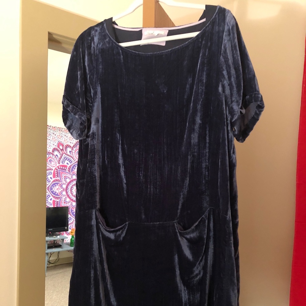 Anthropologie blue crushed velvet dress