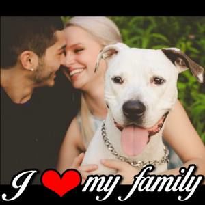 Meet your Posher, Louis