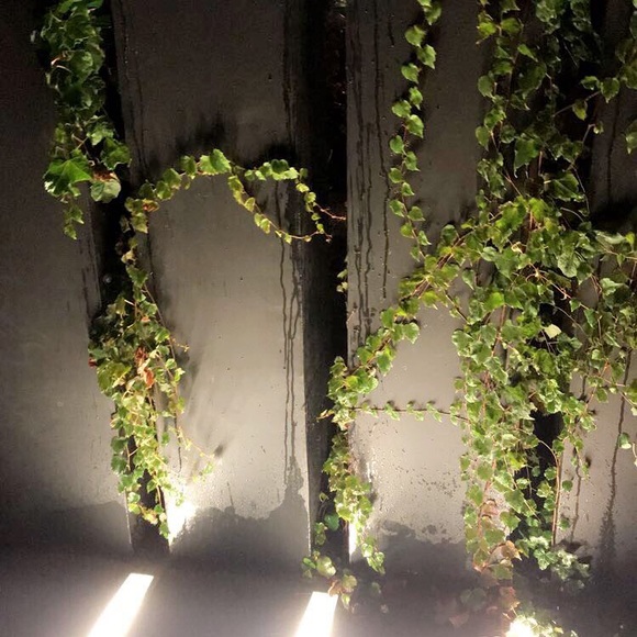 Meet your Posher, Kam - Picture 1 of 1