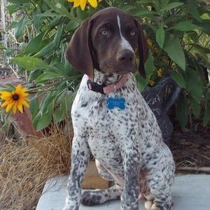 Meet your Posher, Bianca