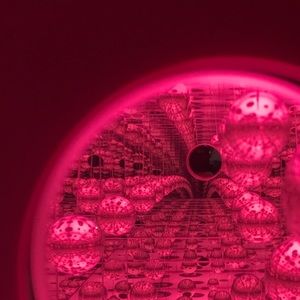 Meet your Posher, Gary